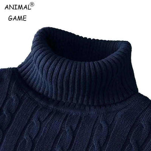 Autum Winter Warm Turtleneck Sweater.