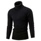 Men's Fashion Style Store Autum Winter Warm Turtleneck Sweater