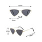 women sunglasses-Fashion Hot Metal Sunglasses Triangle Hip Hop Cyberpunk Stylish Irregular Small Frame Sun glasses Women Travel Cool Eyewear.